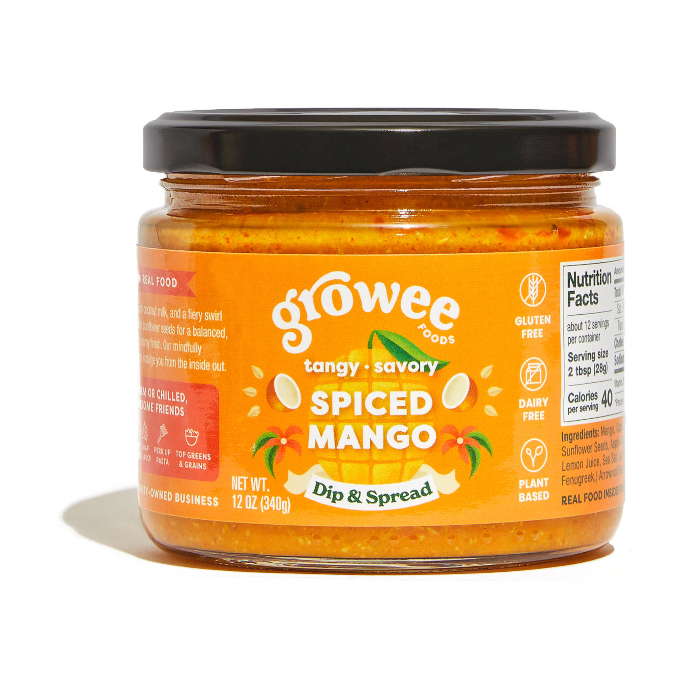 Spiced Mango Dip and Spread 10467