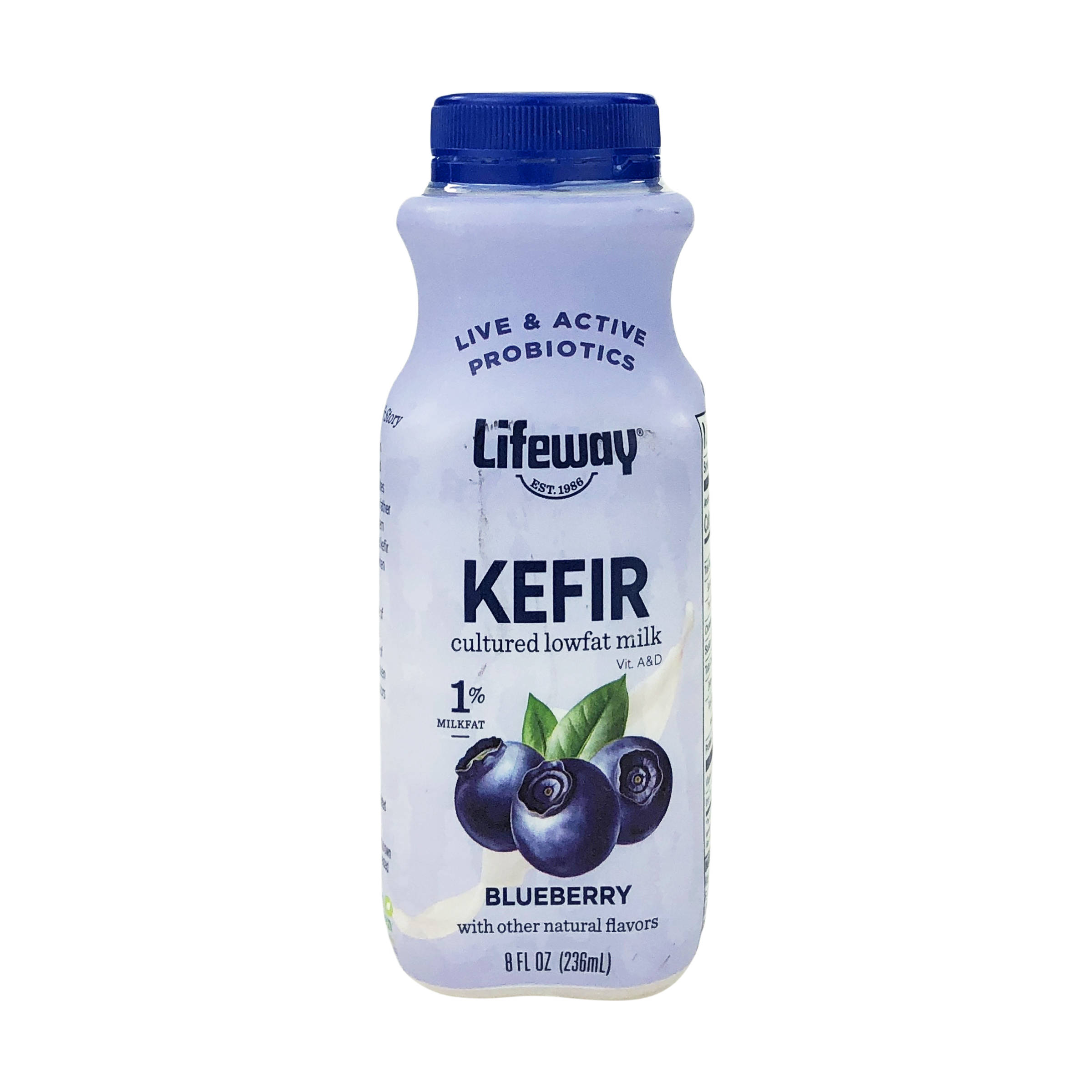 Blueberry Kefir 4512