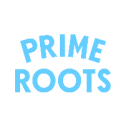 Prime Roots 956
