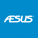 Aesus Packaging Systems, Inc 2529