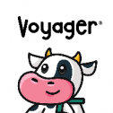 Voyager Milk 2715