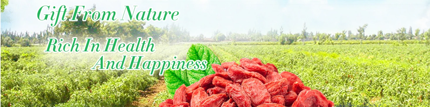 NINGXIA ZHONGNING CHUNQI WOLFBERRY TECHNOLOGY CO., LTD 2883