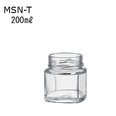 MSN-T 21