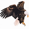 Excellance Inc 311