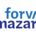 Forvis Mazars 29