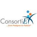 ConsortiEX 53