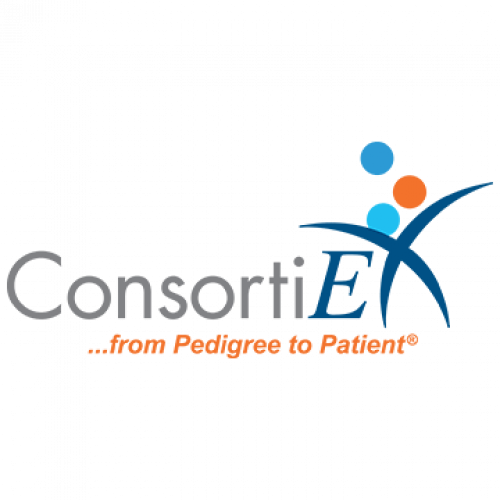 ConsortiEX 53