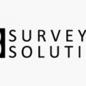 E38 Survey Solutions 381