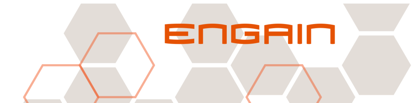 ENGAIN 41