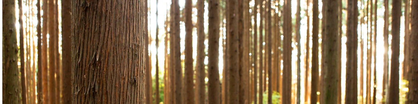 Nakamoto Forestry 130