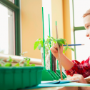 How To Cultivate Environmental Awareness In Schools