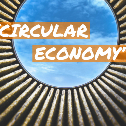 What is a &#039;Circular Economy&#039;?