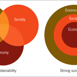 Environmentalism, Sustainability, And Social Justice