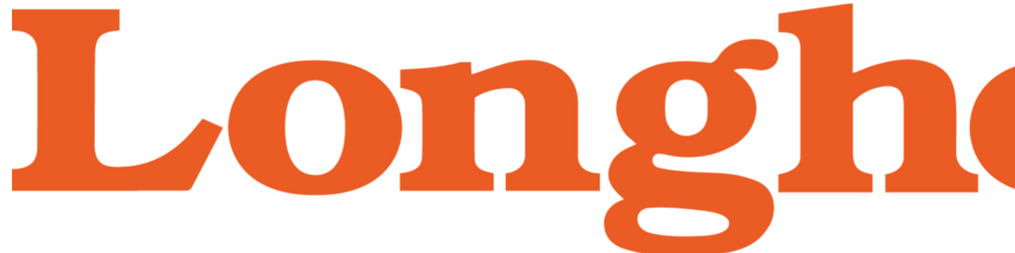 Longhorn Intelligent Tech Co., Ltd. 232