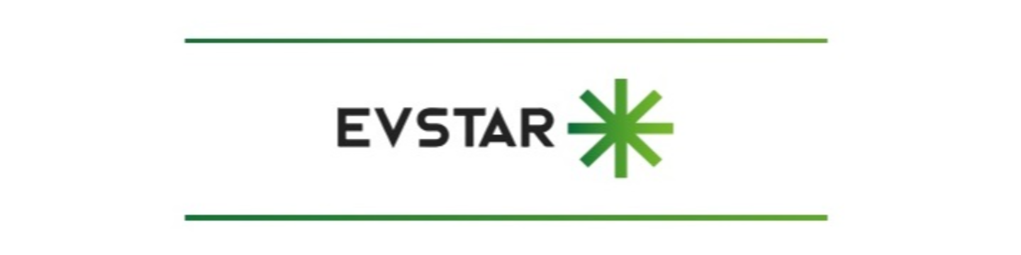 EVSTAR 314