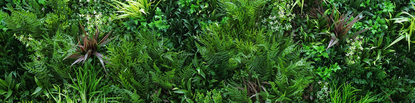 Vertically Green, Inc. 448