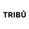Tribu 304