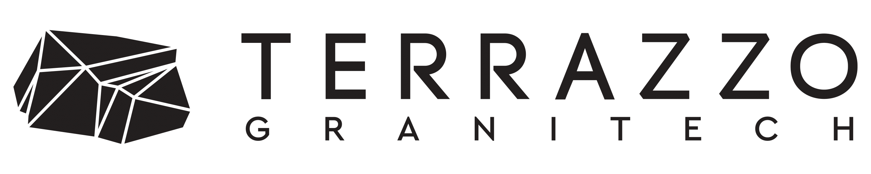 TERRAZZO GraniTech Resin-based Plaster | Medium Finish 463