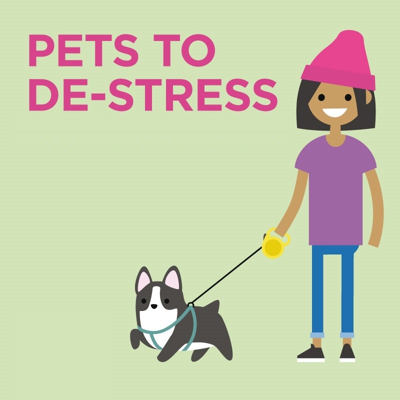 Pets to De-Stress 49