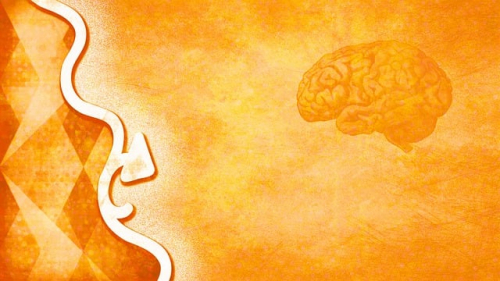 Healthy Nurse, Healthy Nation® Guest Blog: How Trauma-Informed Care is Transforming Healthcare 5300