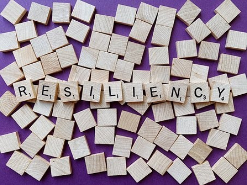 HNHN's Strength Through Resiliency Committee 3650