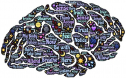 Healthy Nurse, Healthy Nation® Blog: Managing Implicit Bias With Mindfulness 5137