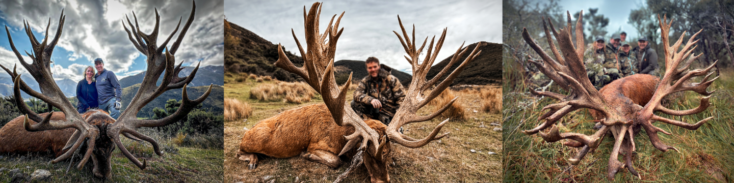 Backcountry New Zealand Outfitters 150