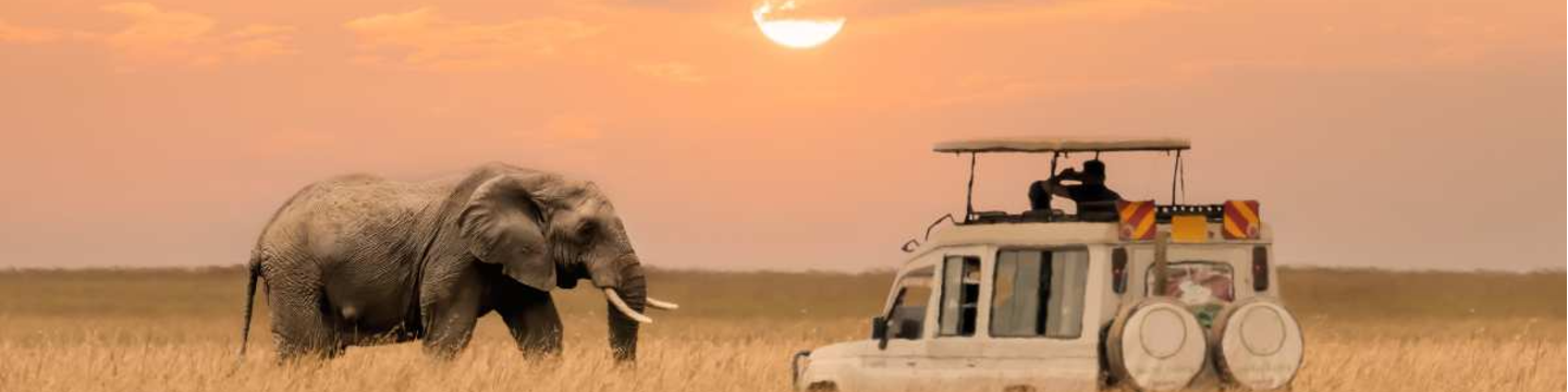 Africa Photo Safaris 155