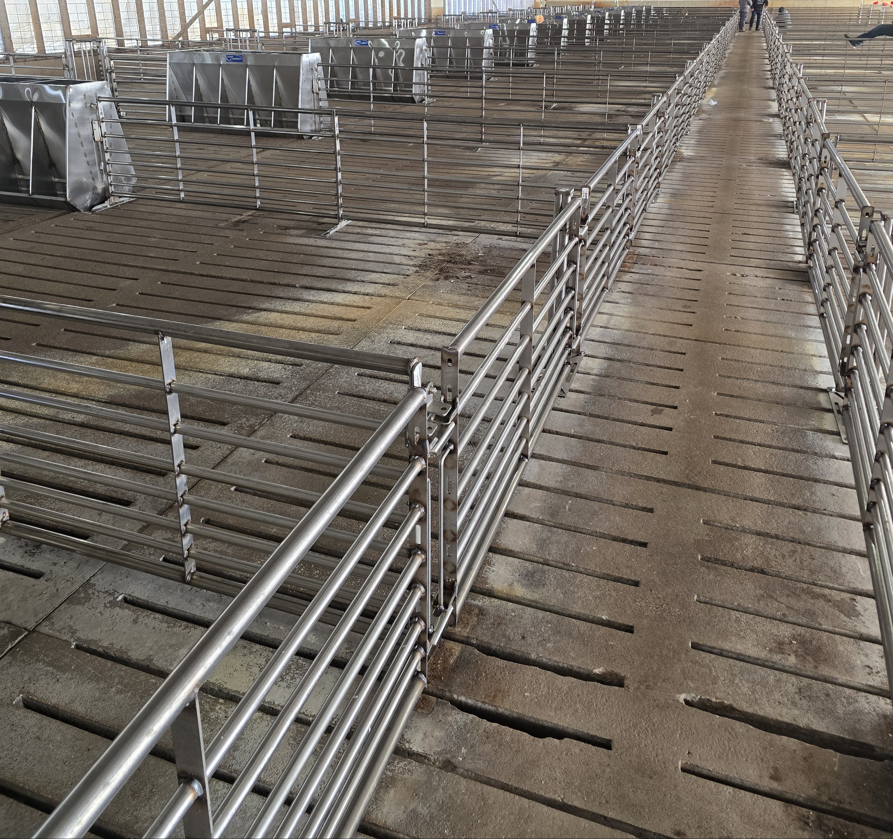 Thorp FHG & Show Time Gating Solutions 1108