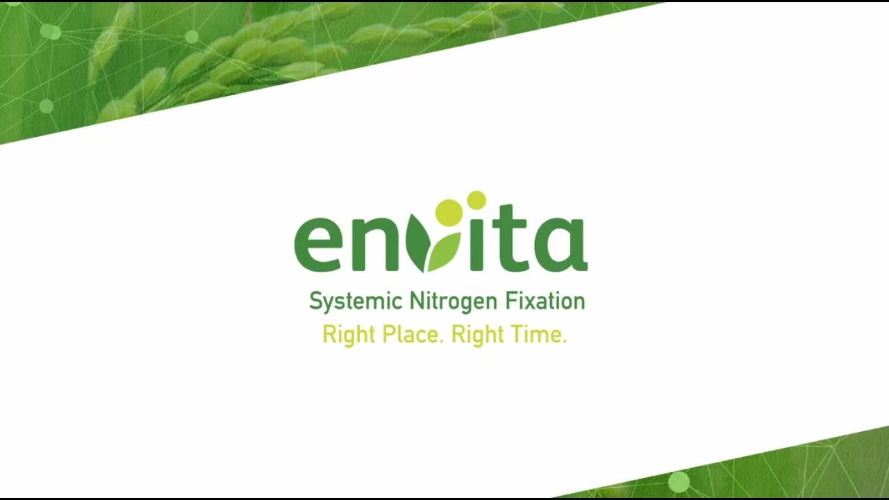 Envita 64