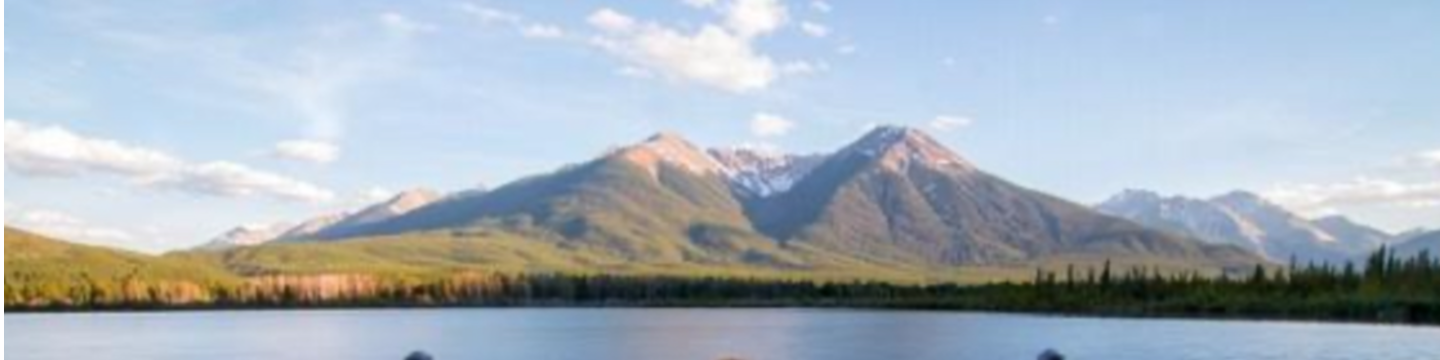 Waste Alternatives 360