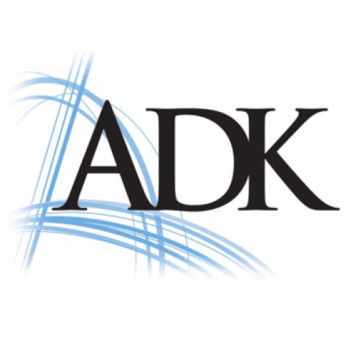 ADK Consulting & Executive Search 142