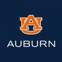 Auburn University Political Science 262