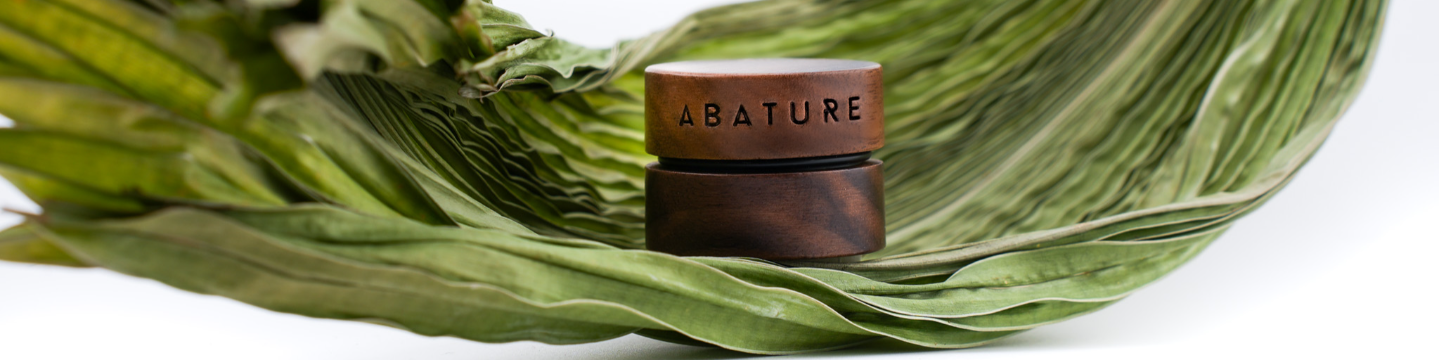 ABATURE 376