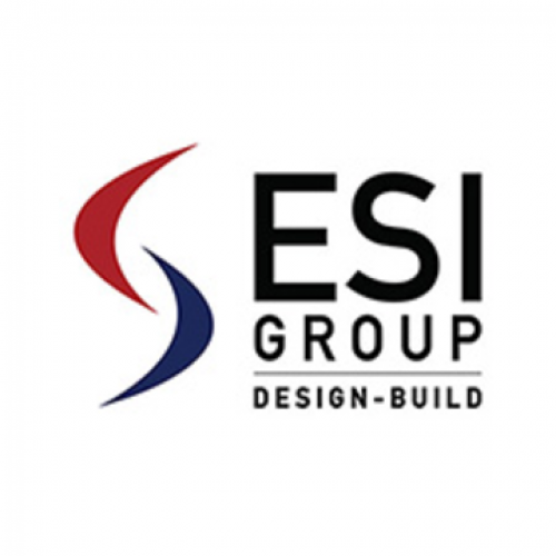ESI Group USA 38