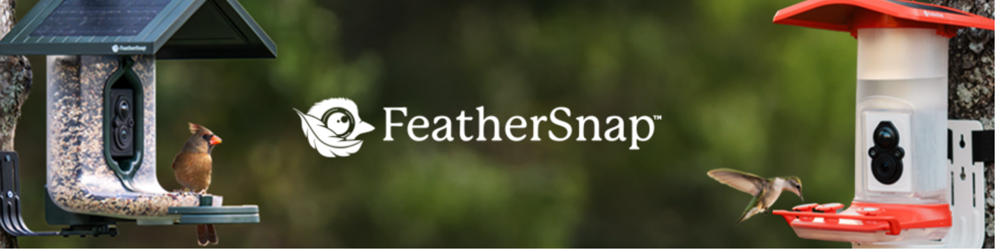 FeatherSnap 546