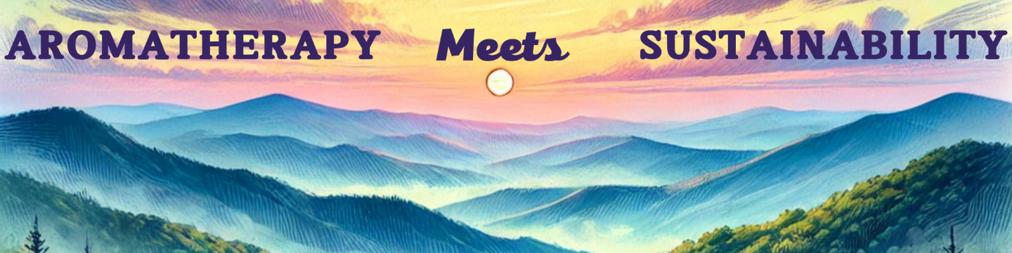 Blaze On Creations 569