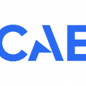 CAE 29