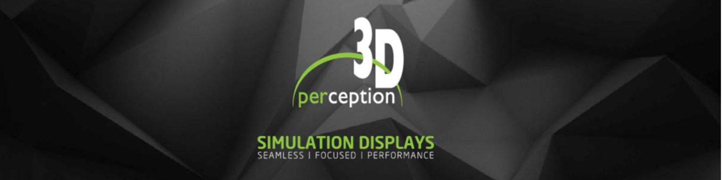 3D perception 19