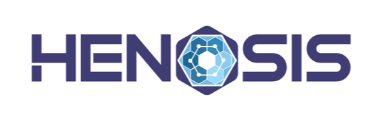 Henosis - Cloud-Native Data Lake Platform 31