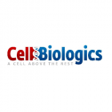 Cell Biologics Inc. 119