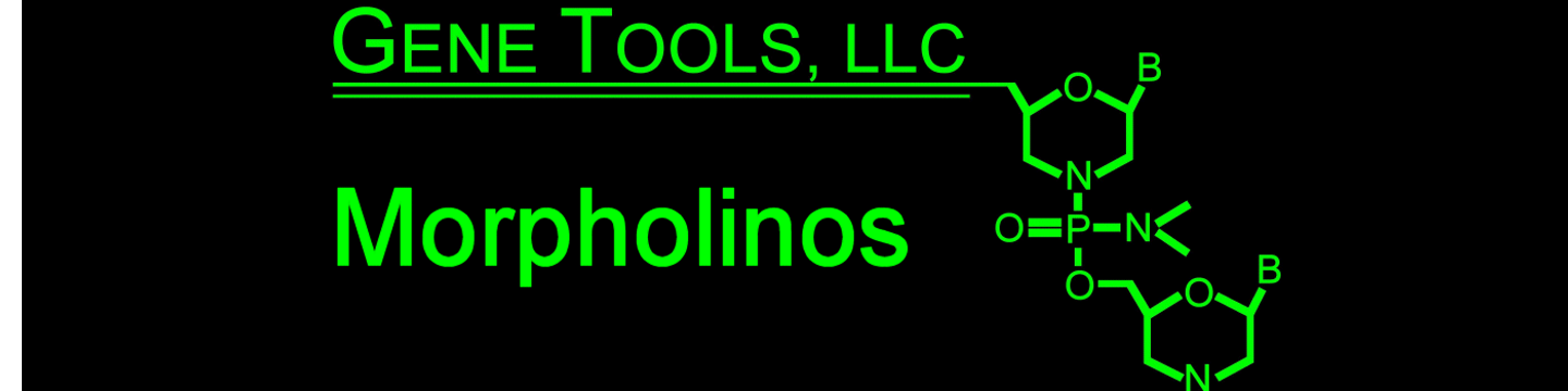 Gene Tools, LLC 27