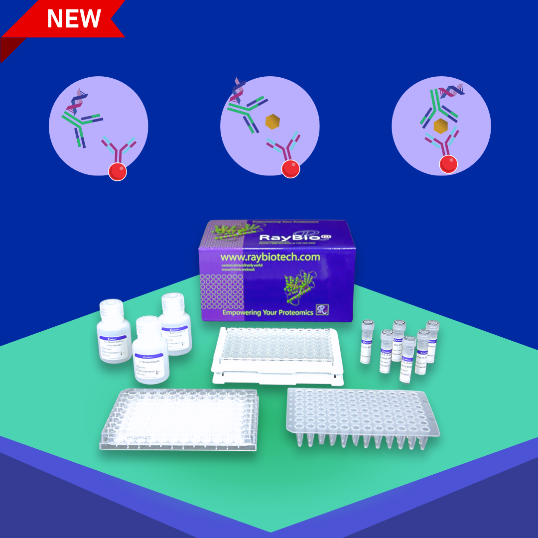 Introducing NexaTag™ | The Next Generation Immuno-quantitative PCR ELISA 198