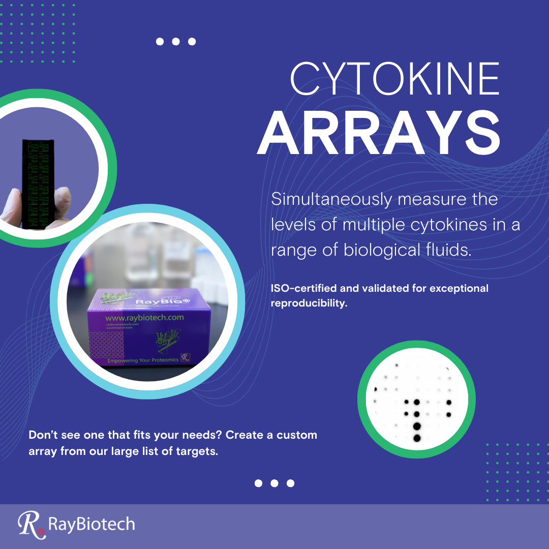 Human Cytokine Array 217