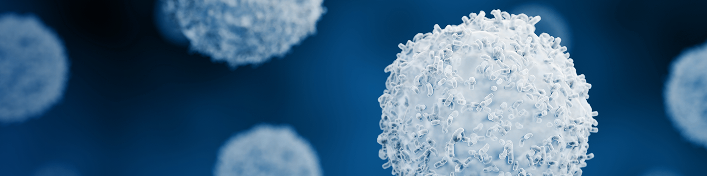 Cayman Chemical Company 51