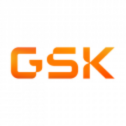 GSK 21