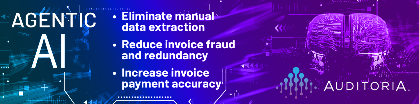 Auditoria.AI 66