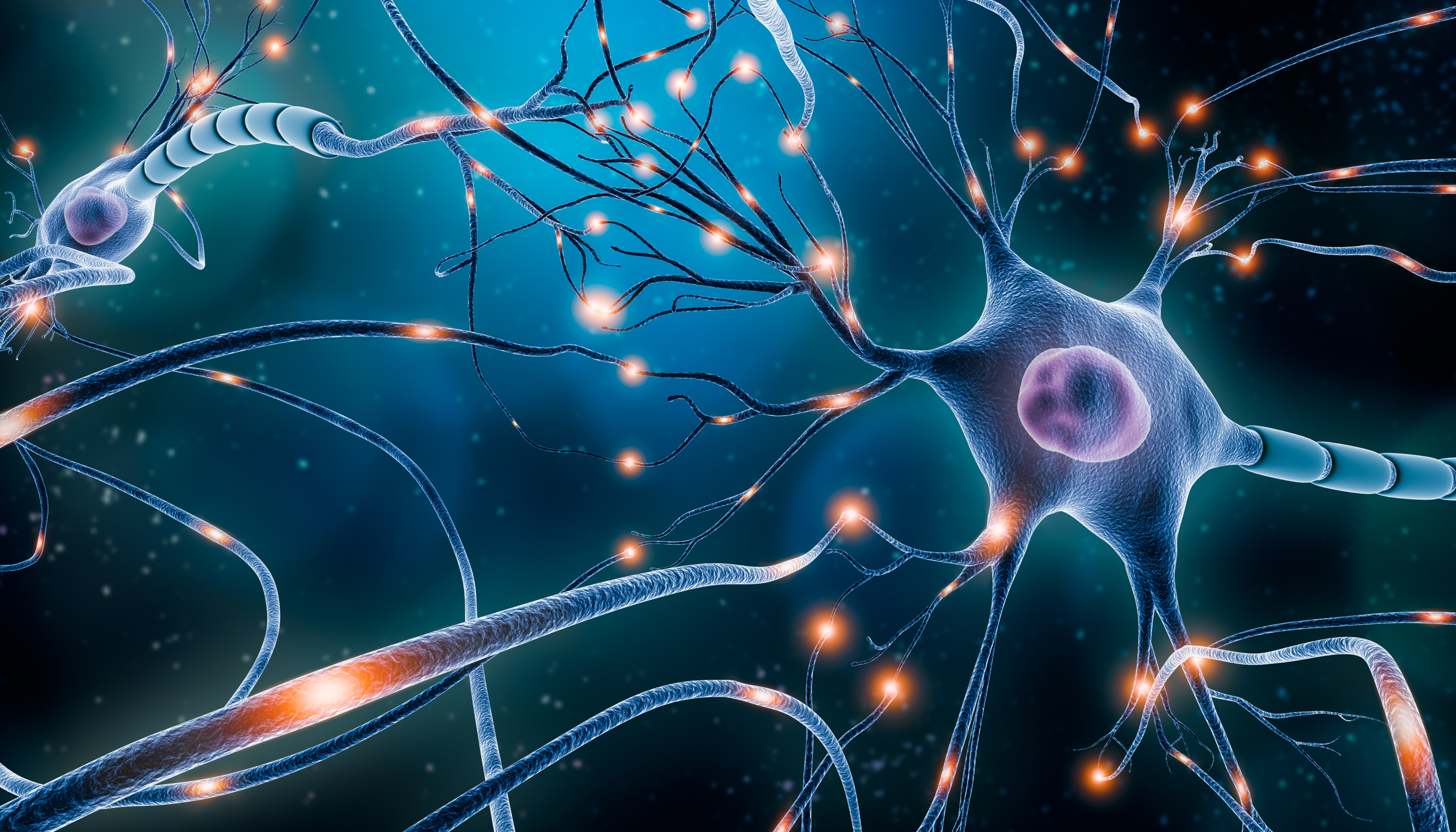 AAIC® Advancements: Immunity | March 23-24 |  Boston, USA and Online 19