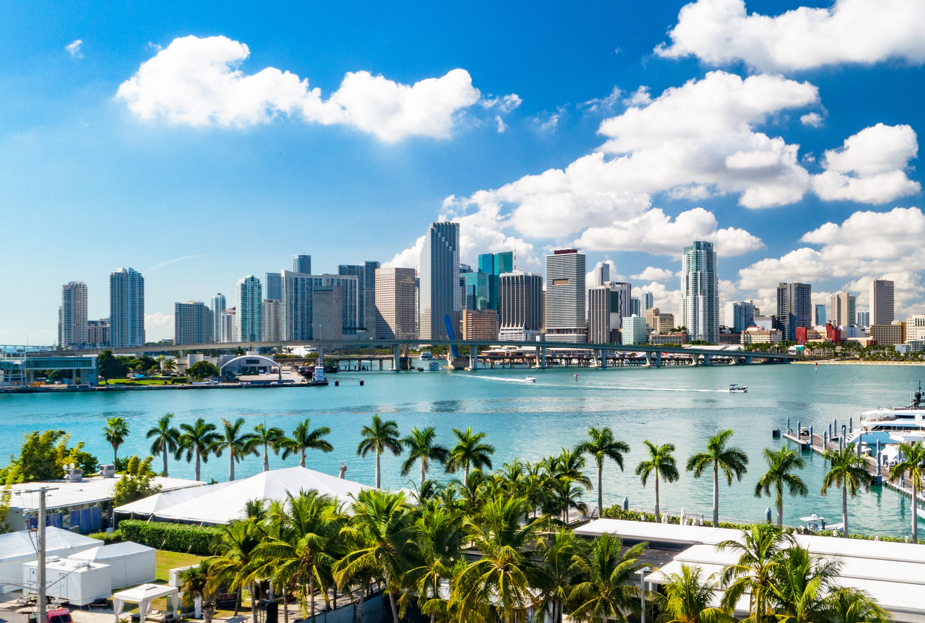 AAIC Advancements: APOE & Lipid Biology | March 17 – 18, 2025 | Miami, USA, and Online 369