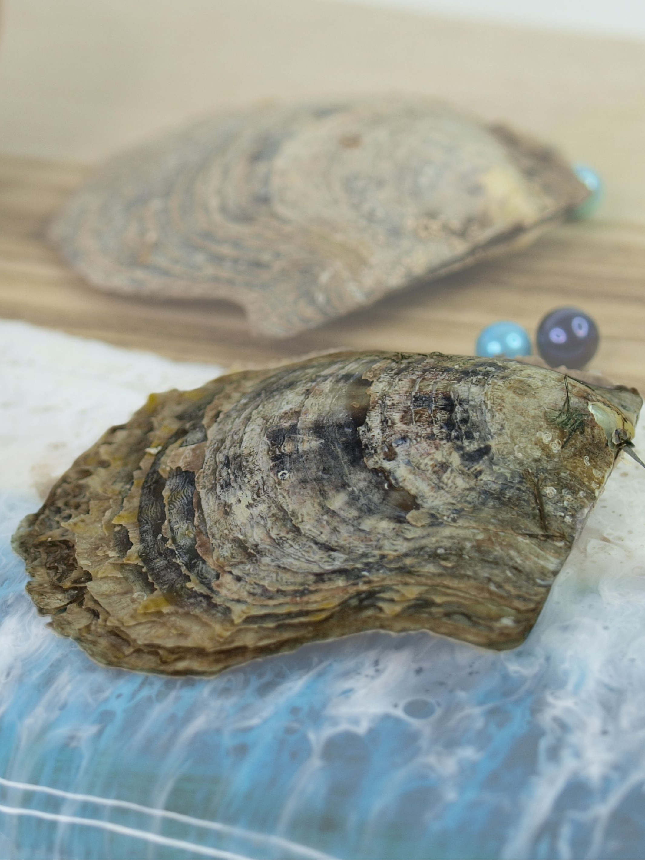 Island Pearls 1003